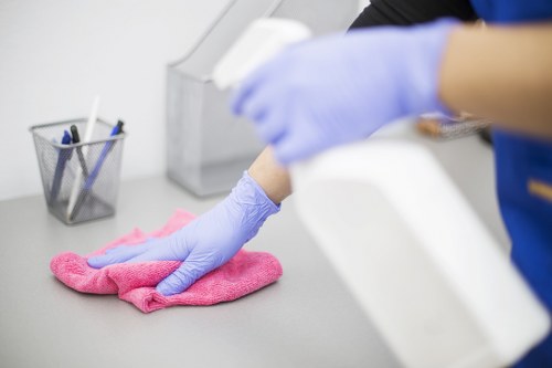 Professional upholstery cleaning for a sofa in an Enfield home
