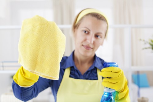 Carpet cleaning service for homes in Enfield