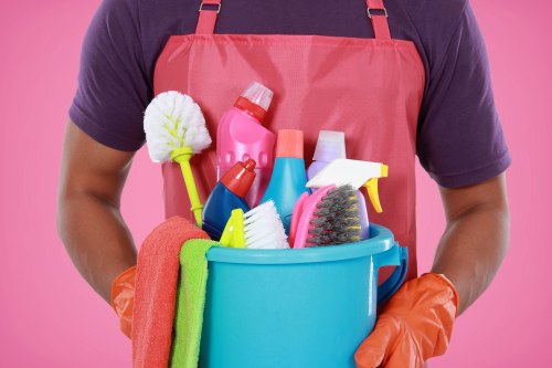 Local Enfield cleaner preparing a living room for a routine visit