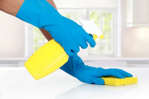 Professional sofa cleaning service for Enfield homes and businesses