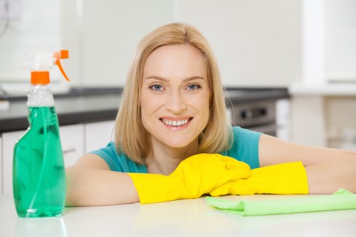 Deep carpet cleaning equipment used in Enfield home or office