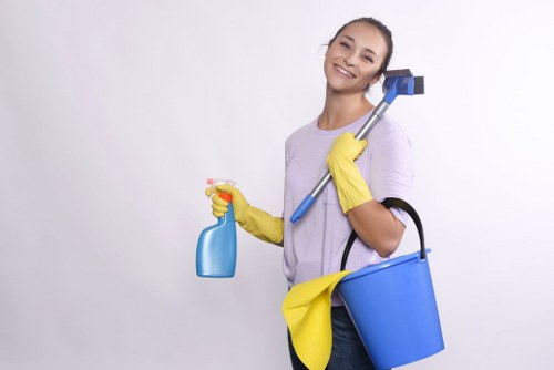 Upholstery cleaning process for a fabric sofa in Enfield