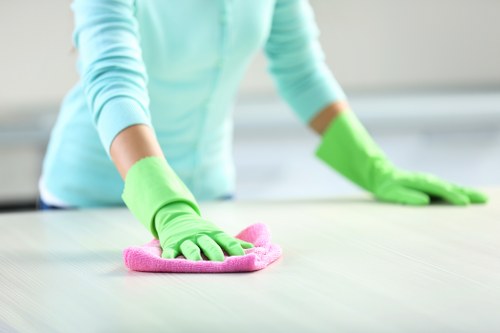 End of tenancy cleaning for a flat in Enfield