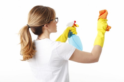 Kitchen and bathroom domestic cleaning in an Enfield property