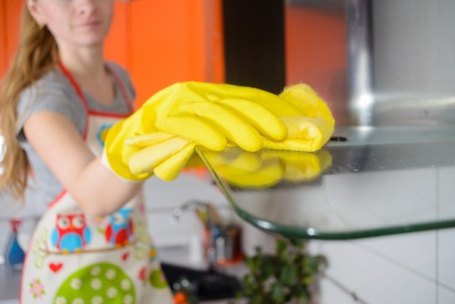 Professional cleaner preparing a home cleaning visit in Enfield