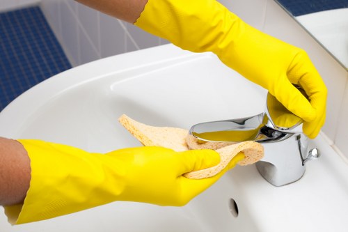 Customer responsibilities during oven cleaning appointment